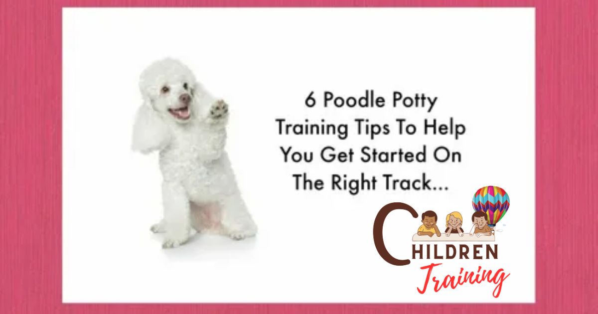 Are Poodles Easy To Potty Train?
