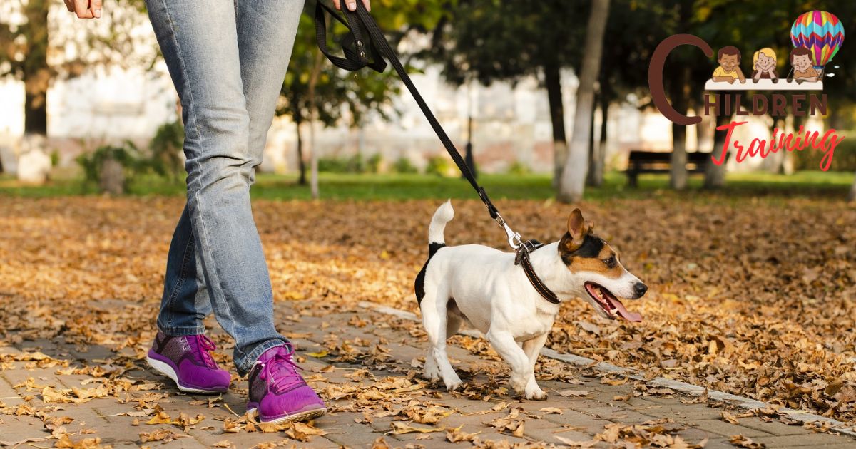 how-to-get-a-dog-to-pee-on-a-leash