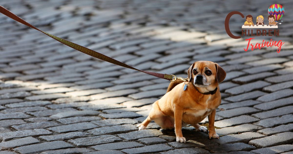 How To Train A Dog To Pee On A Leash?